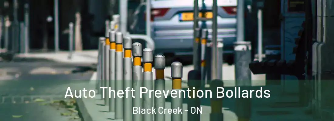  Auto Theft Prevention Bollards Black Creek - ON