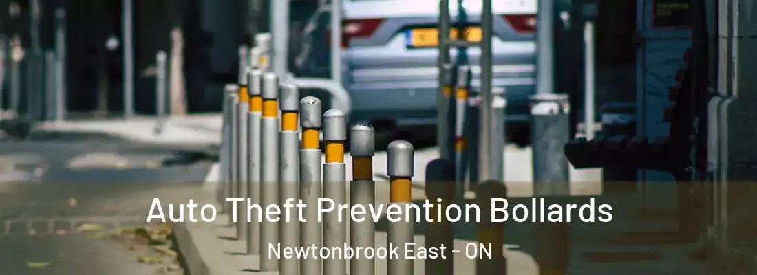  Auto Theft Prevention Bollards Newtonbrook East - ON
