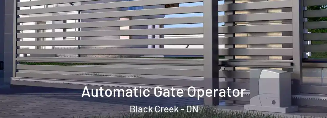  Automatic Gate Operator Black Creek - ON
