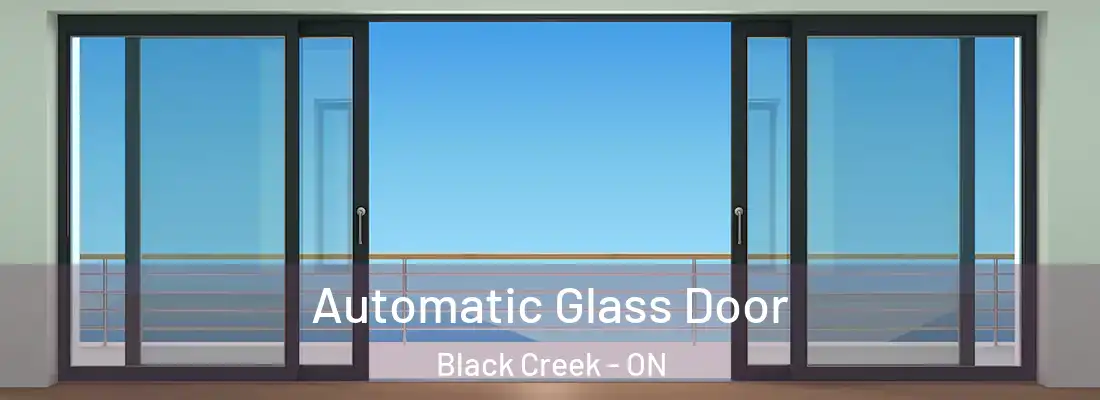  Automatic Glass Door Black Creek - ON