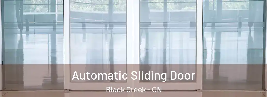  Automatic Sliding Door Black Creek - ON