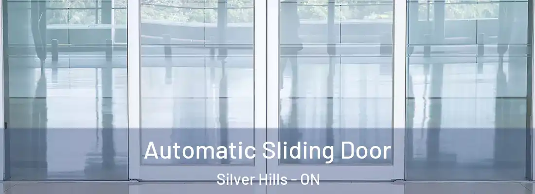  Automatic Sliding Door Silver Hills - ON