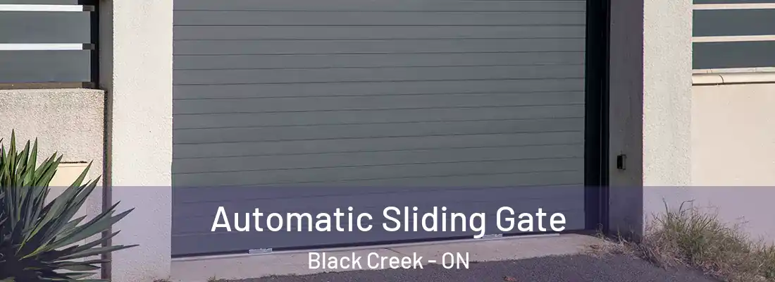  Automatic Sliding Gate Black Creek - ON