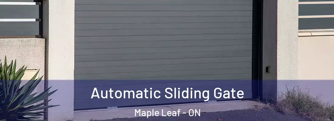  Automatic Sliding Gate Maple Leaf - ON