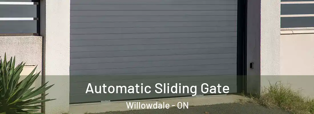  Automatic Sliding Gate Willowdale - ON