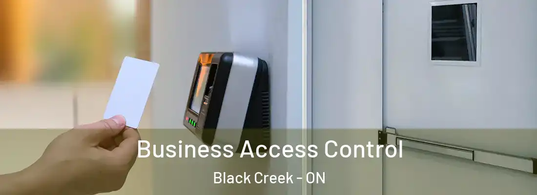  Business Access Control Black Creek - ON