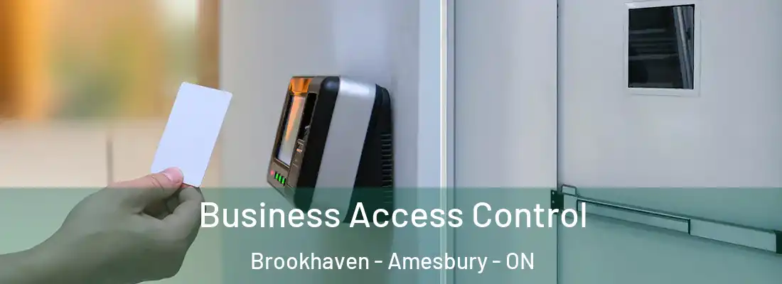  Business Access Control Brookhaven - Amesbury - ON