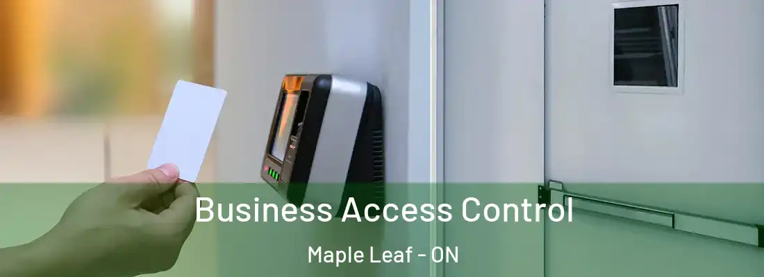  Business Access Control Maple Leaf - ON