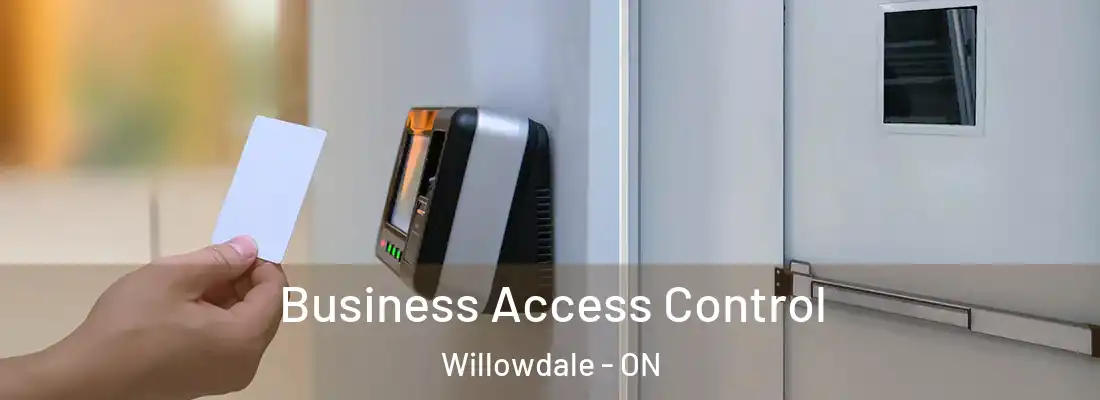  Business Access Control Willowdale - ON