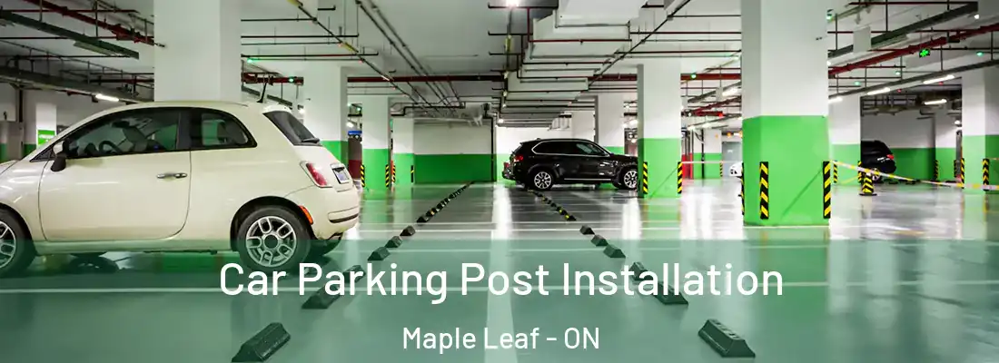  Car Parking Post Installation Maple Leaf - ON