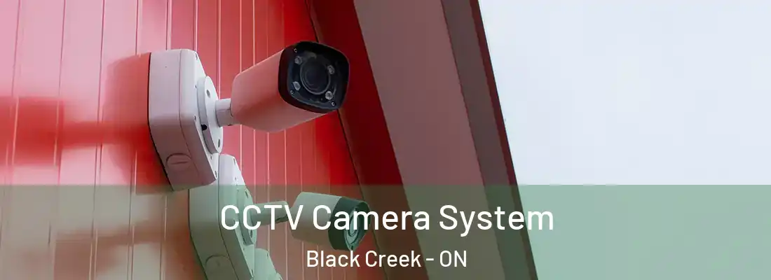  CCTV Camera System Black Creek - ON