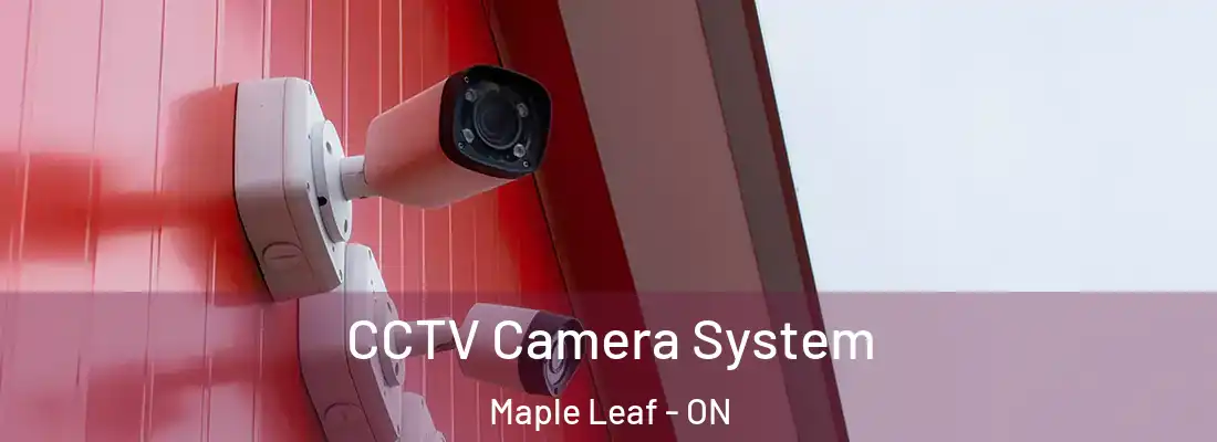  CCTV Camera System Maple Leaf - ON