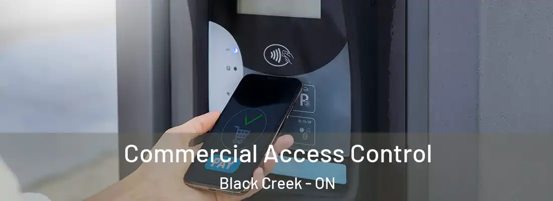  Commercial Access Control Black Creek - ON