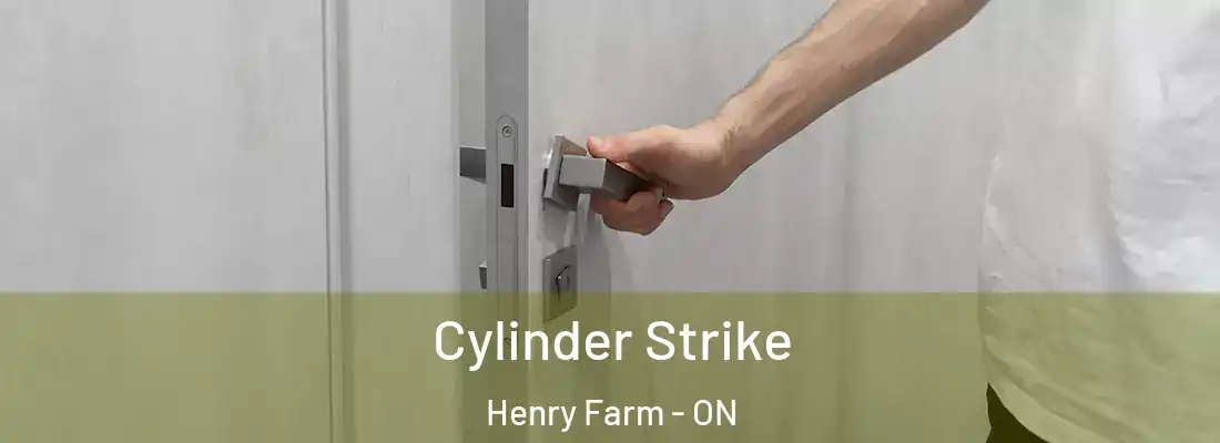  Cylinder Strike Henry Farm - ON