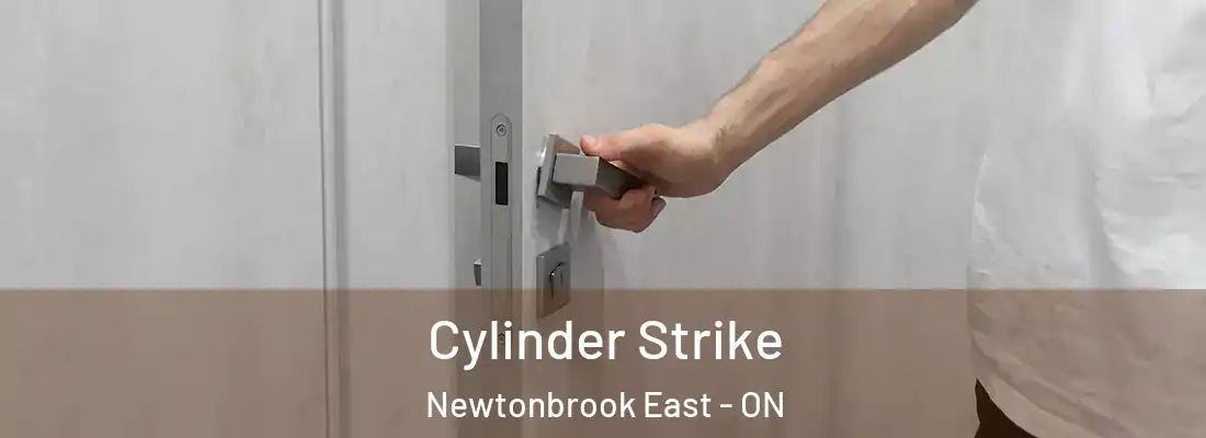  Cylinder Strike Newtonbrook East - ON
