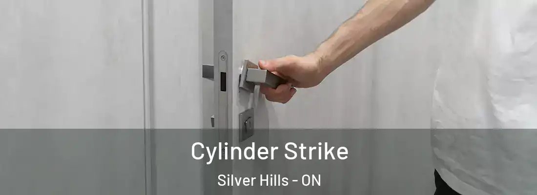  Cylinder Strike Silver Hills - ON
