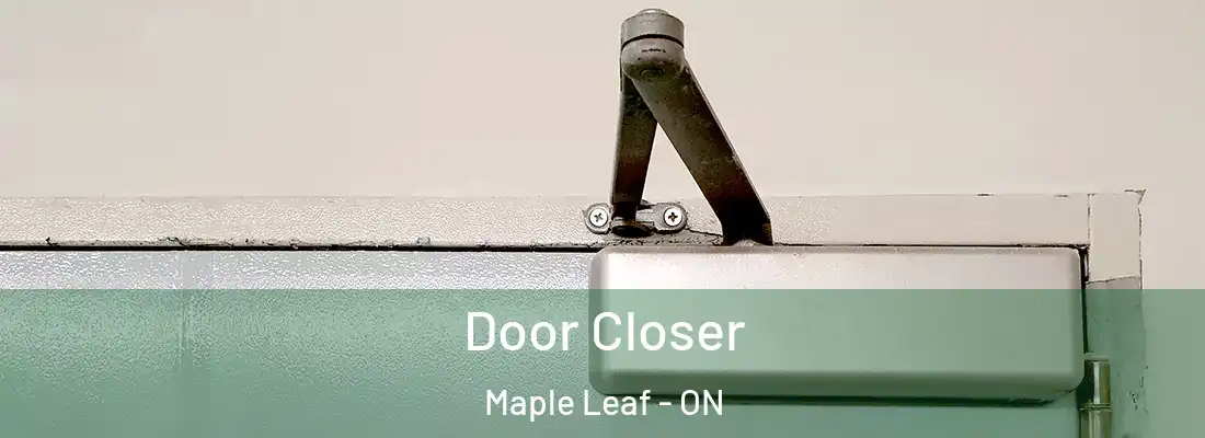  Door Closer Maple Leaf - ON