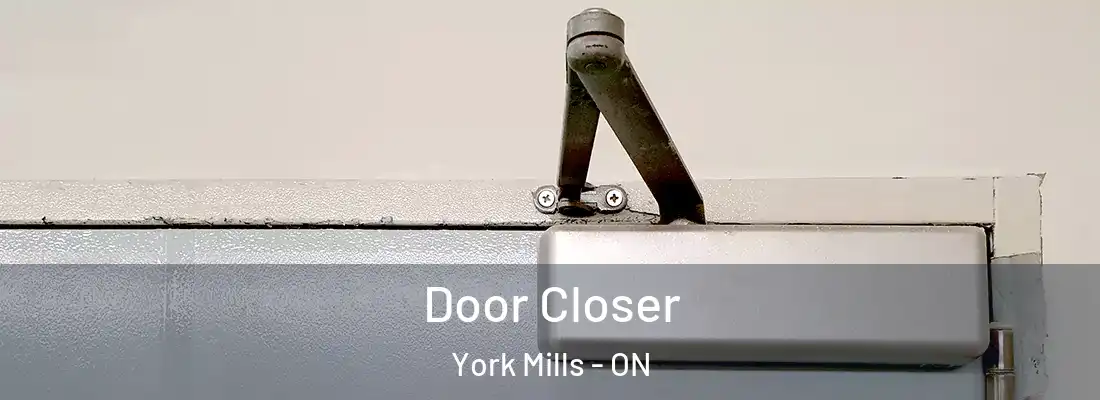  Door Closer York Mills - ON