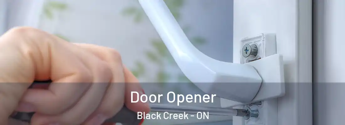  Door Opener Black Creek - ON