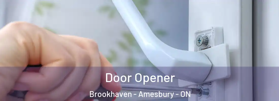  Door Opener Brookhaven - Amesbury - ON