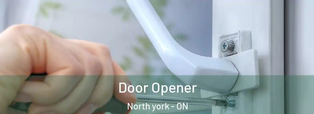 Door Opener North york - ON