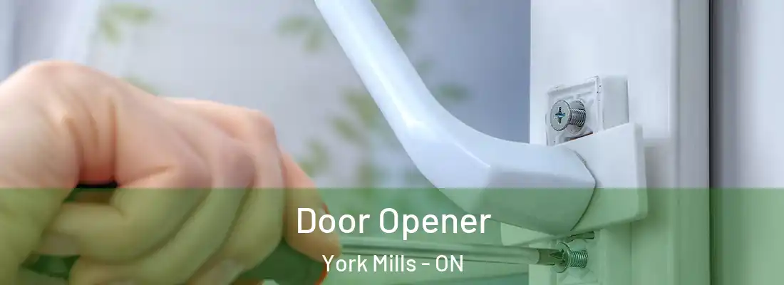  Door Opener York Mills - ON