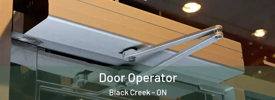  Door Operator Black Creek - ON