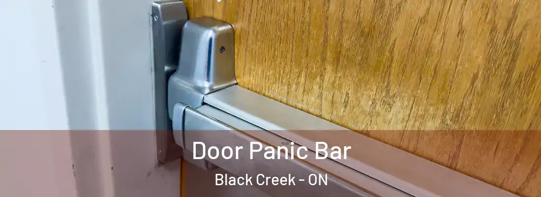  Door Panic Bar Black Creek - ON