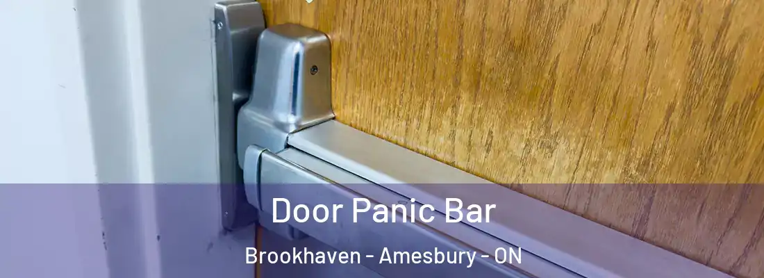  Door Panic Bar Brookhaven - Amesbury - ON