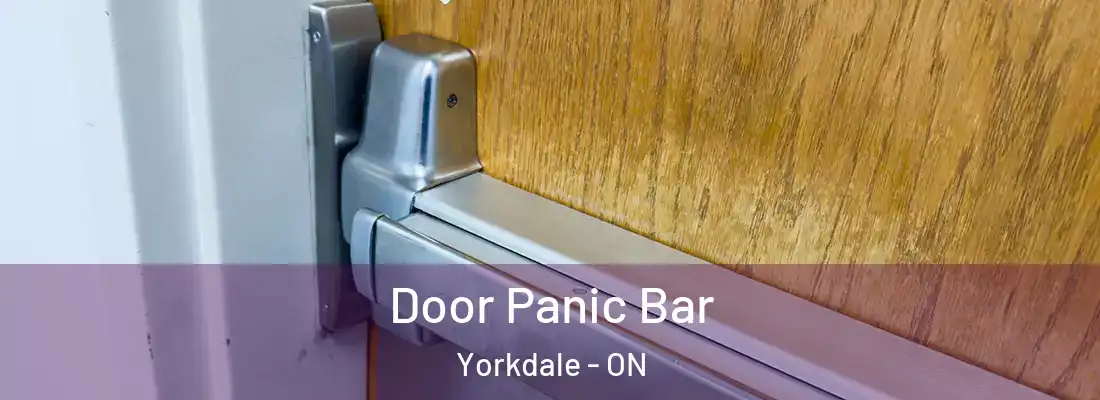  Door Panic Bar Yorkdale - ON