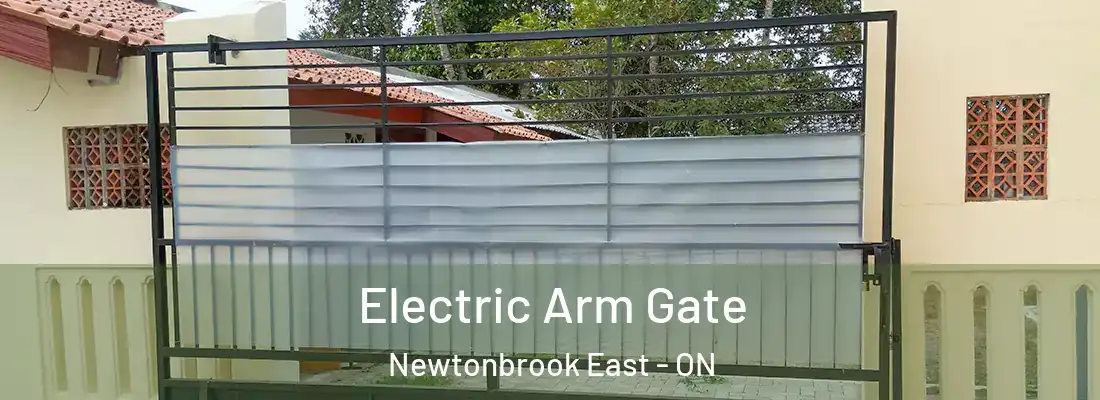  Electric Arm Gate Newtonbrook East - ON