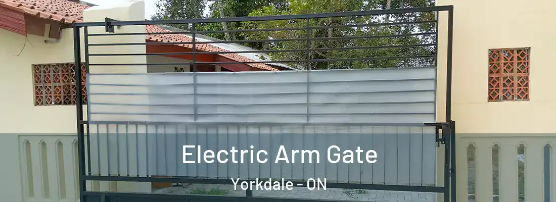  Electric Arm Gate Yorkdale - ON