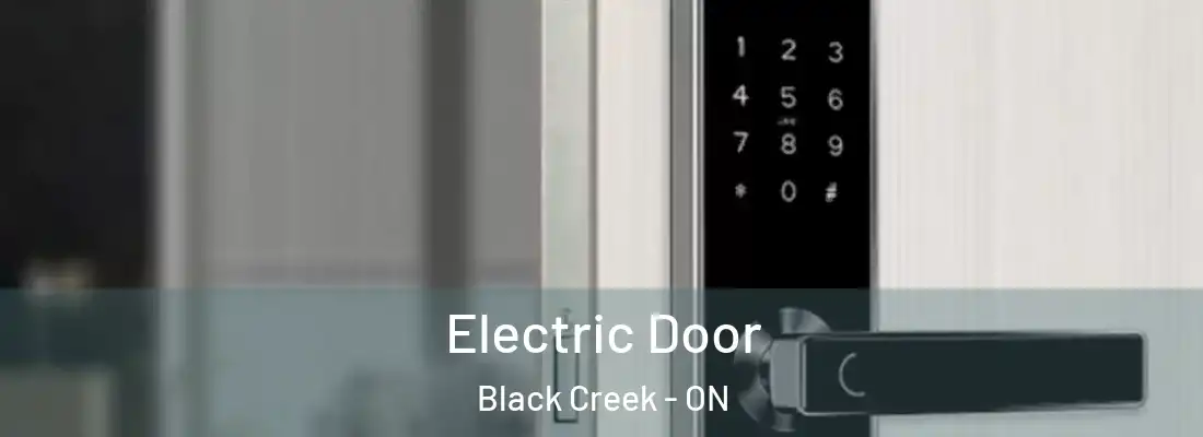  Electric Door Black Creek - ON