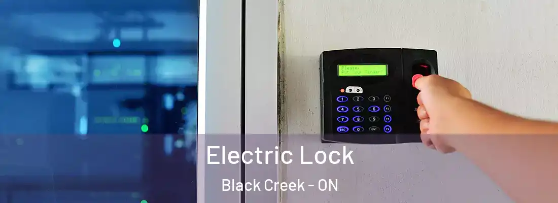  Electric Lock Black Creek - ON