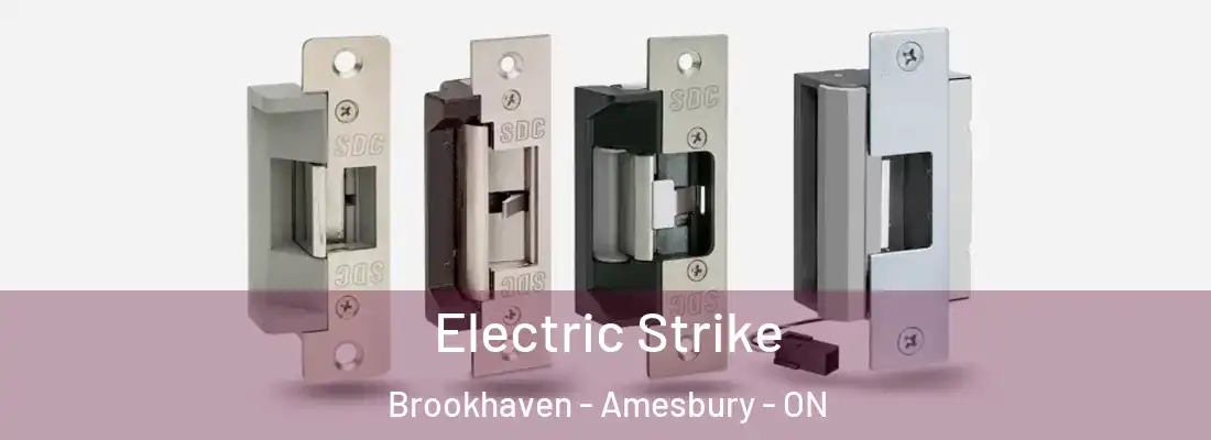  Electric Strike Brookhaven - Amesbury - ON