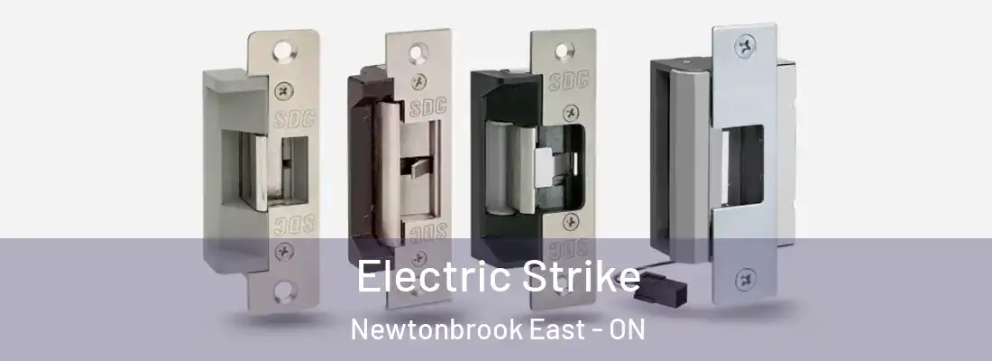  Electric Strike Newtonbrook East - ON