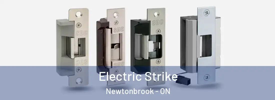  Electric Strike Newtonbrook - ON