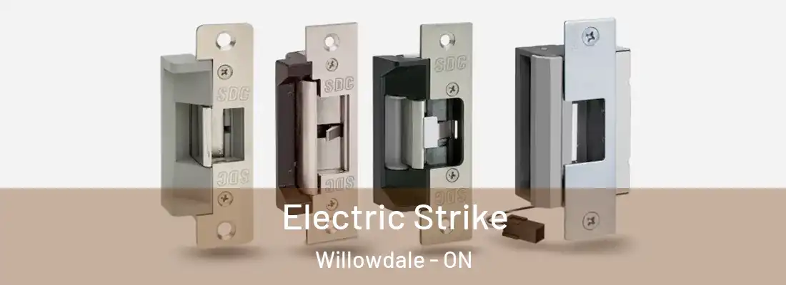  Electric Strike Willowdale - ON