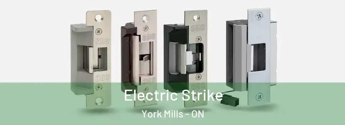  Electric Strike York Mills - ON
