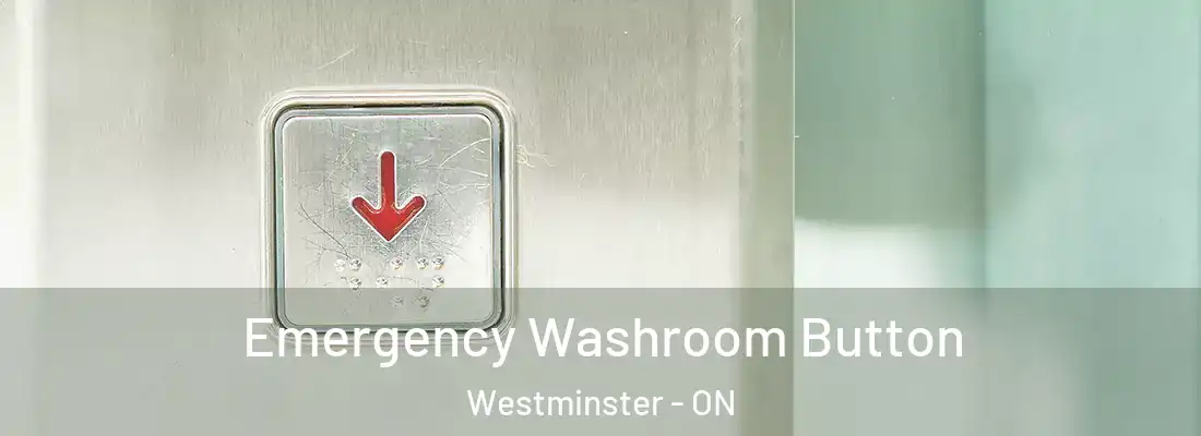  Emergency Washroom Button Westminster - ON