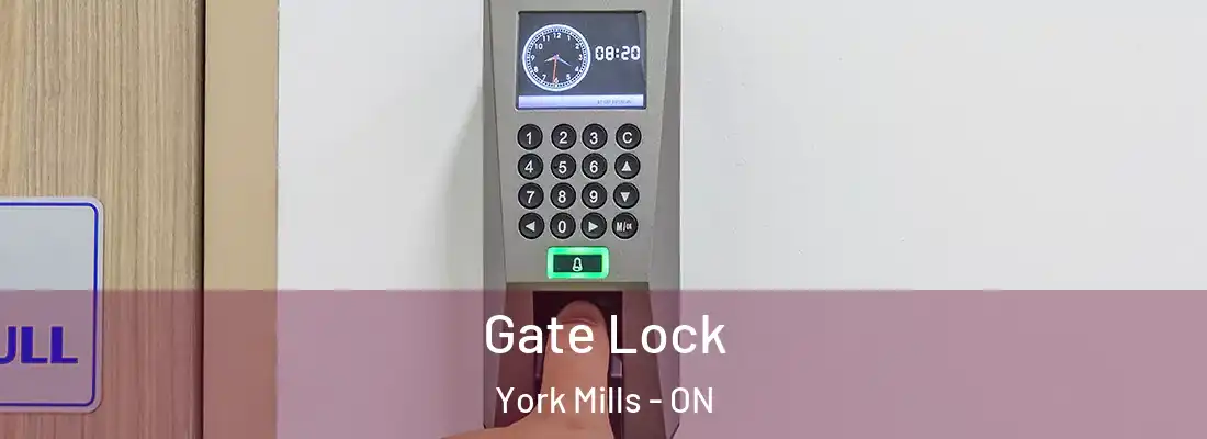  Gate Lock York Mills - ON