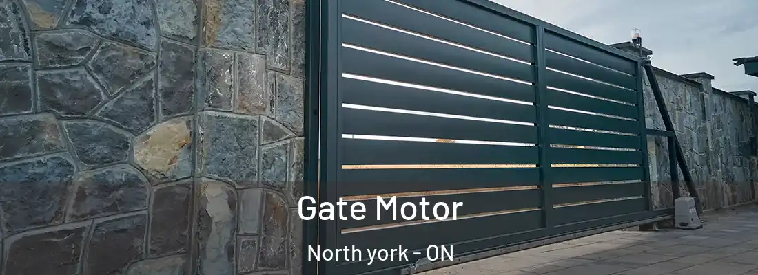  Gate Motor North york - ON