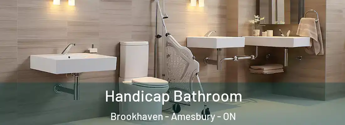  Handicap Bathroom Brookhaven - Amesbury - ON