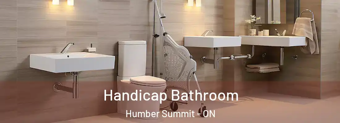  Handicap Bathroom Humber Summit - ON
