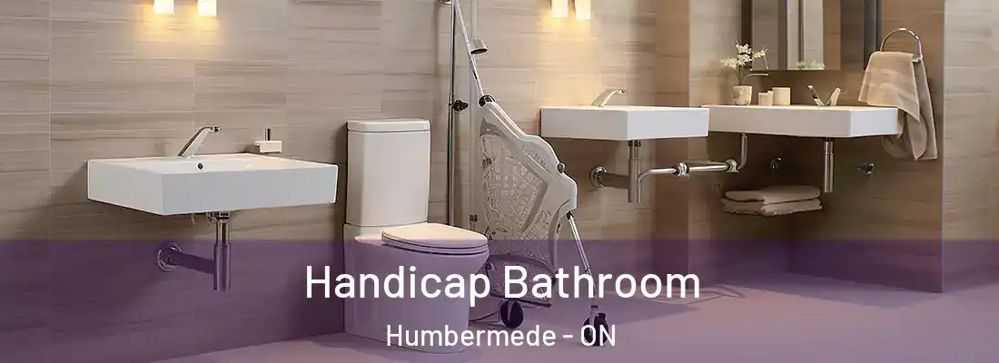  Handicap Bathroom Humbermede - ON