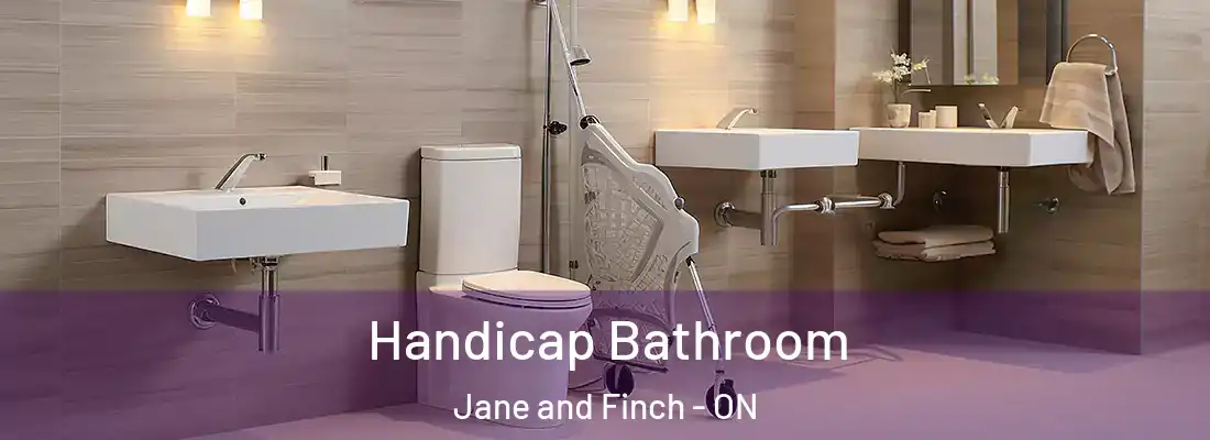  Handicap Bathroom Jane and Finch - ON