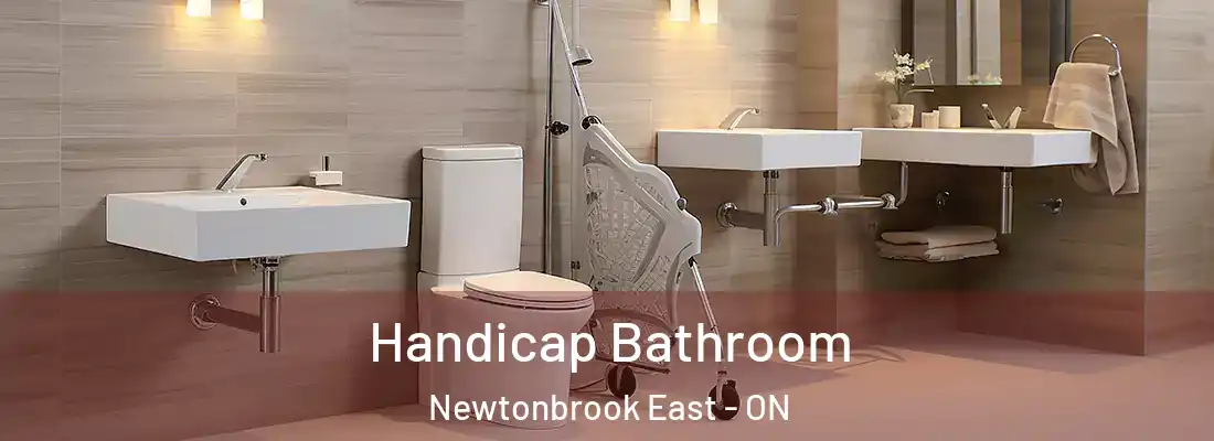 Handicap Bathroom Newtonbrook East - ON
