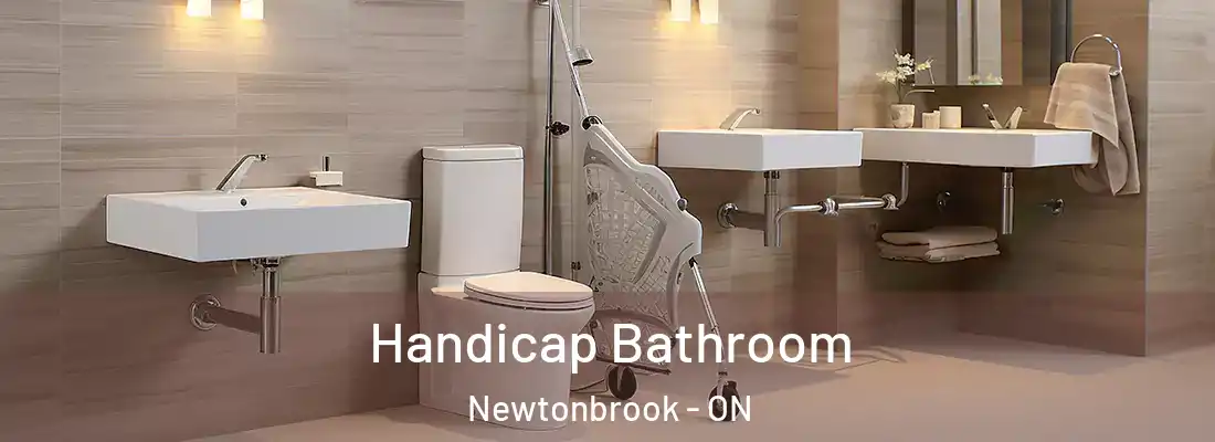  Handicap Bathroom Newtonbrook - ON