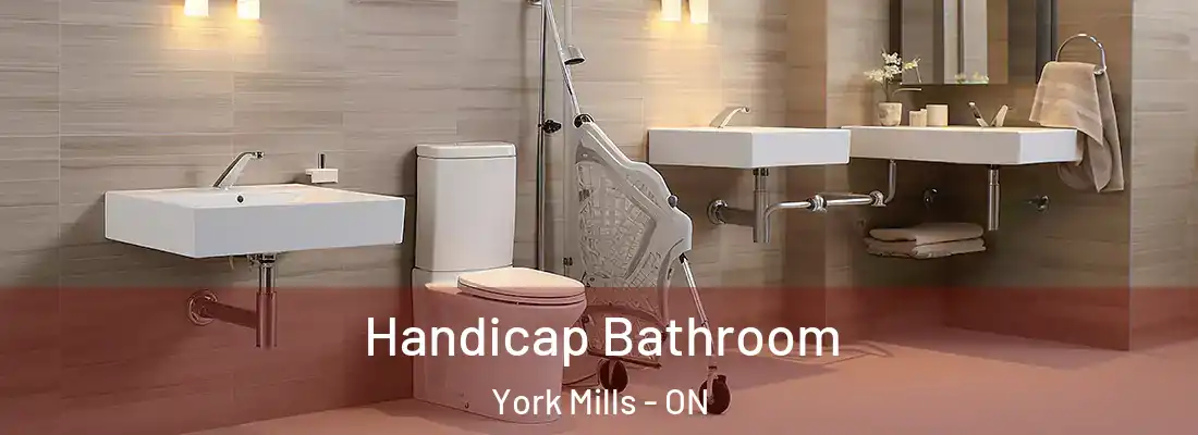  Handicap Bathroom York Mills - ON