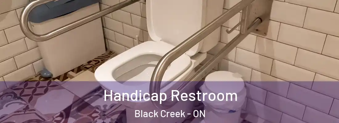  Handicap Restroom Black Creek - ON